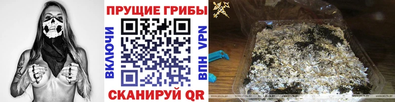 Галлюциногенные грибы MAGIC MUSHROOMS  продажа наркотиков  Кудымкар 